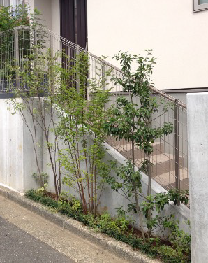 植栽との組み合わせで囲われ感