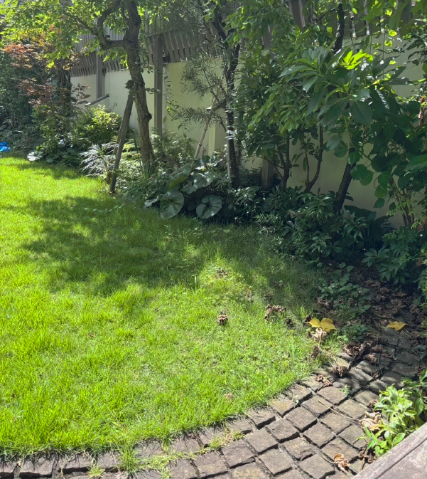 植物に覆われた緑地